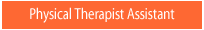 Physical Therapist Assistant